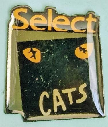 Placchette & Badge: Pin Cats – Usato da Pfäffikon ZH venduto da Colacity