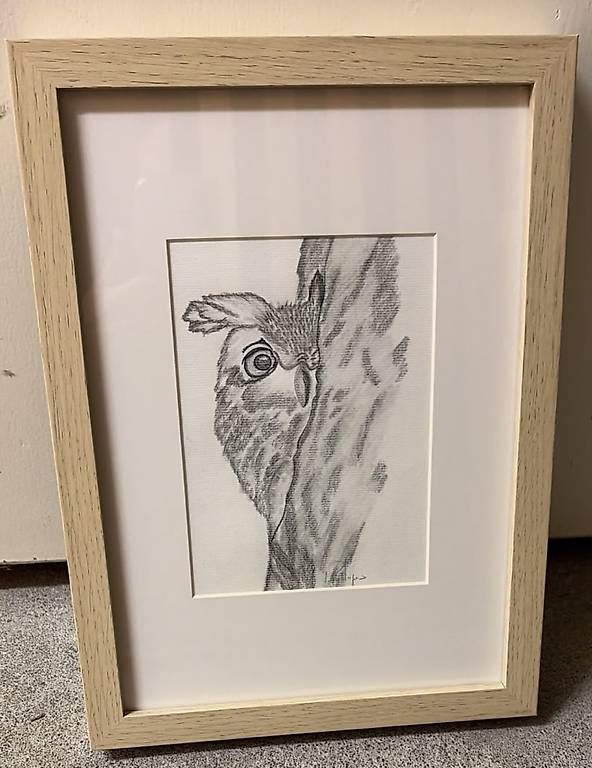 Tableaux: Handgemachtes Eulen-Gemälde  mit Liebe gefertigt – D'occasion à Buchrain par nic_sp69