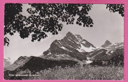 Braunwald Ortstock gel 1956