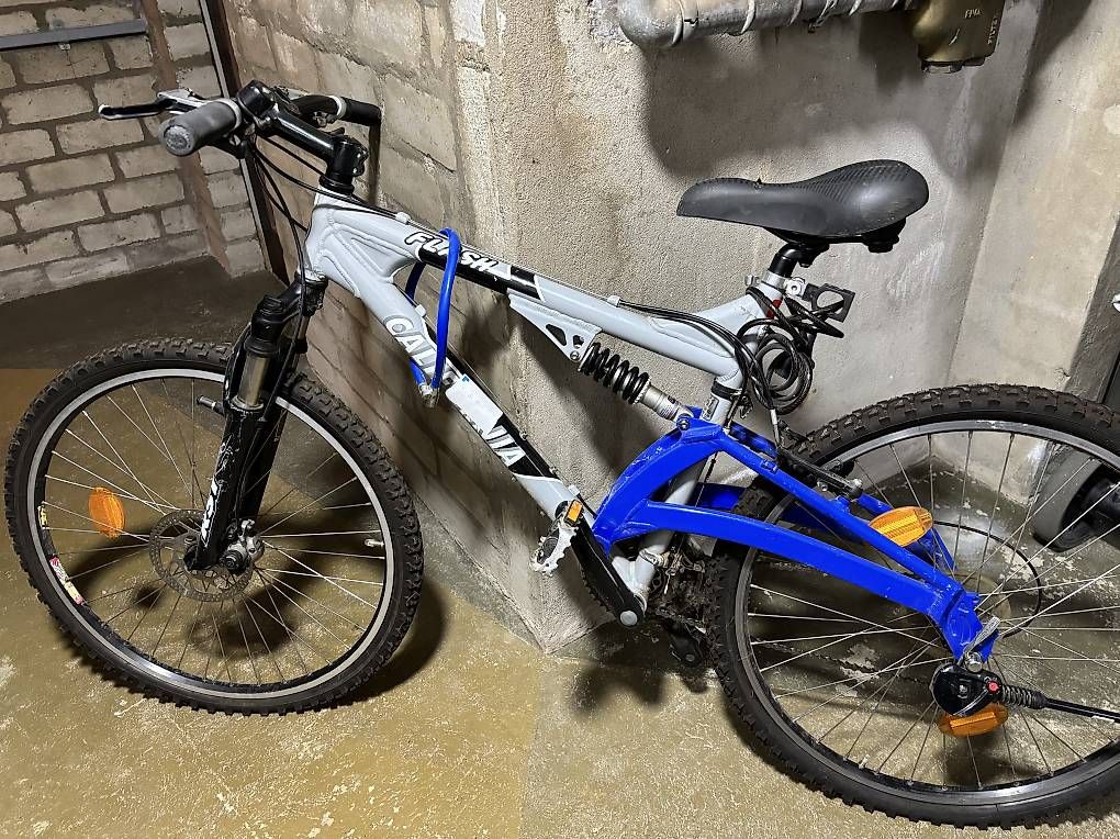 Biciclette: Velo Damen – Usato da Dulliken venduto da cag_fy79