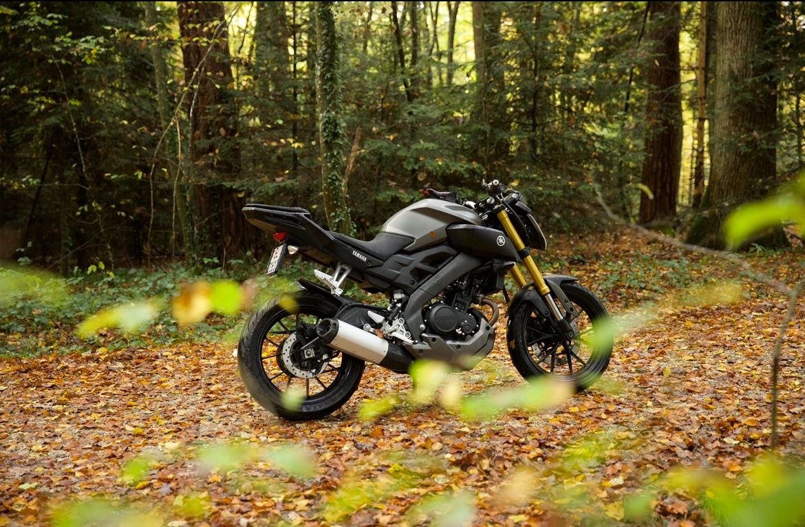 Yamaha Route: Yamaha MT-125, 2016 mit ABS – D'occasion à Rodersdorf par eil_5d7n 1