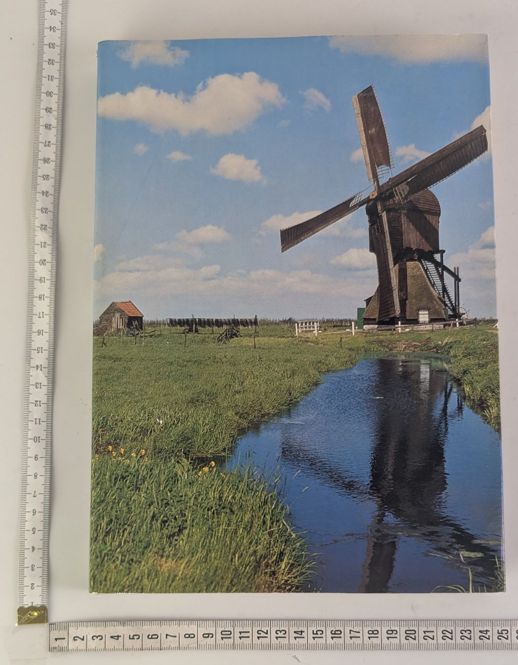 Libri: Holland – Silva 1975 – Usato da Zürich venduto da axolottchen 1