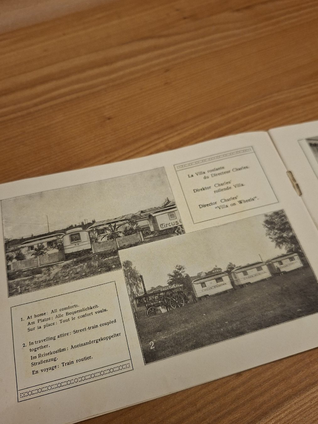 Documenti: Prospekt Cirkus Krone früher Charles 1901 – Usato da Ganterschwil venduto da HeidiuPeter 7
