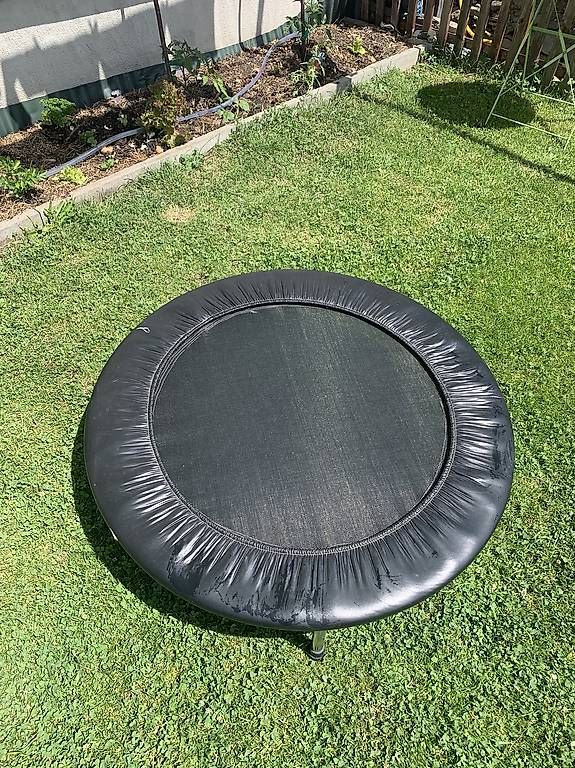 Trampolini: Trampolin  – Usato da Hirzel venduto da Berdice