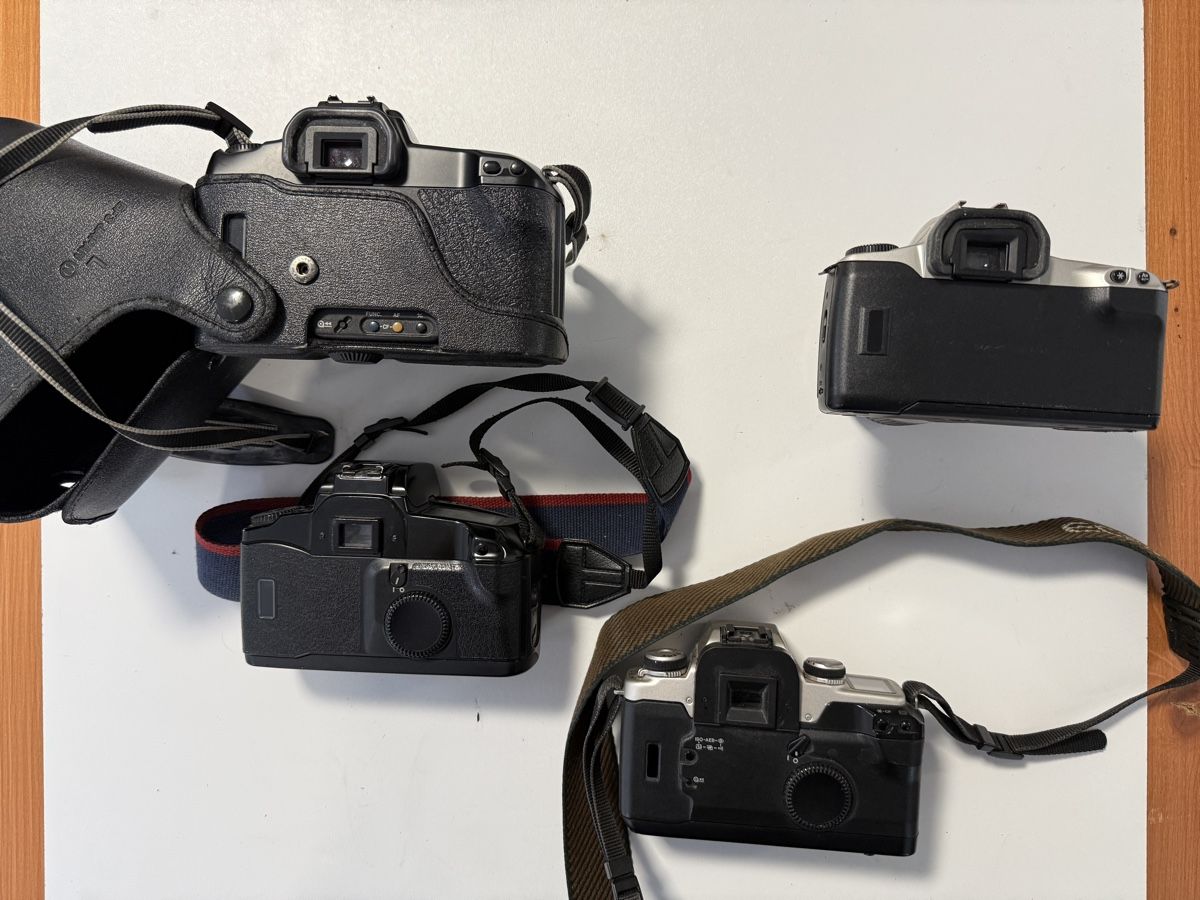 Canon Fotocamera: Le lot comprend 4 boîtiers reflex argentiques et 2 objectifs – Usato da Ardon venduto da Momovs99 2