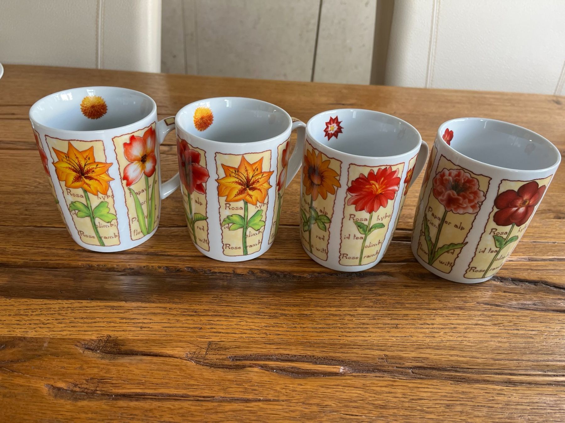 Tazze: 4 Tasse Neu – Nuovo (secondo la descrizione) da Rekingen AG venduto da nederland1