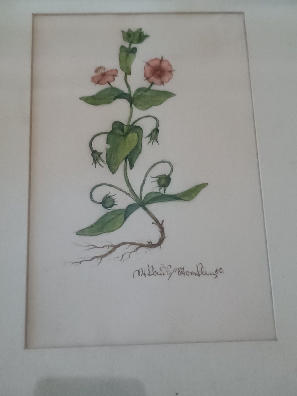 Dipinti: Niklaus Stoecklin - original Zeichnung – Usato da Menziken venduto da Artographs 1