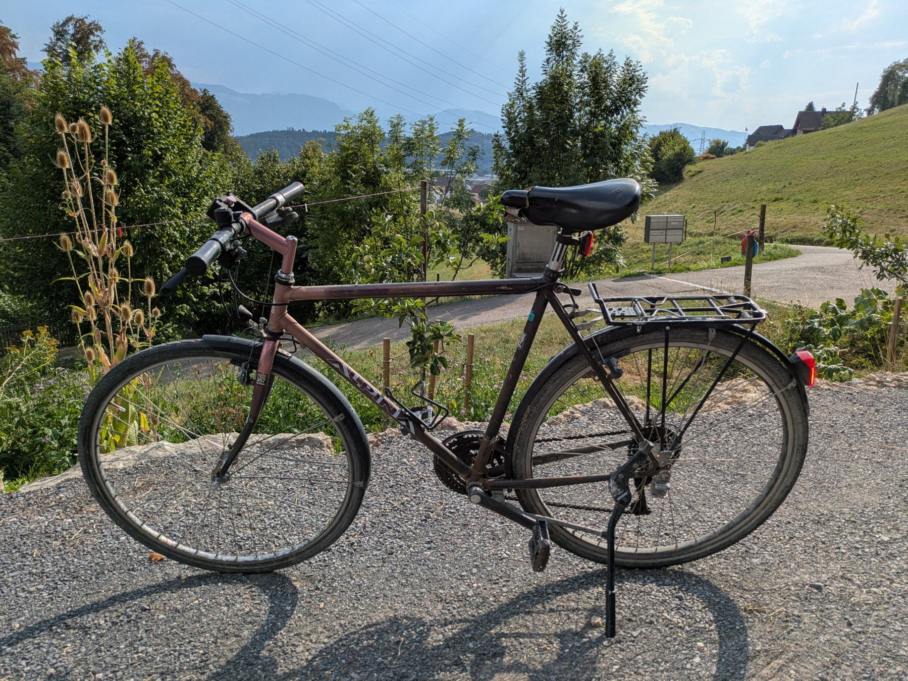Velos: Alpina Velo Herren – Gebraucht aus Uznach von verkehrsinstruktor