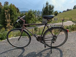 Alpina Velo Herren