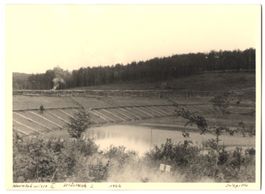 Fotografie Salzgitter, Klärteich des Sc