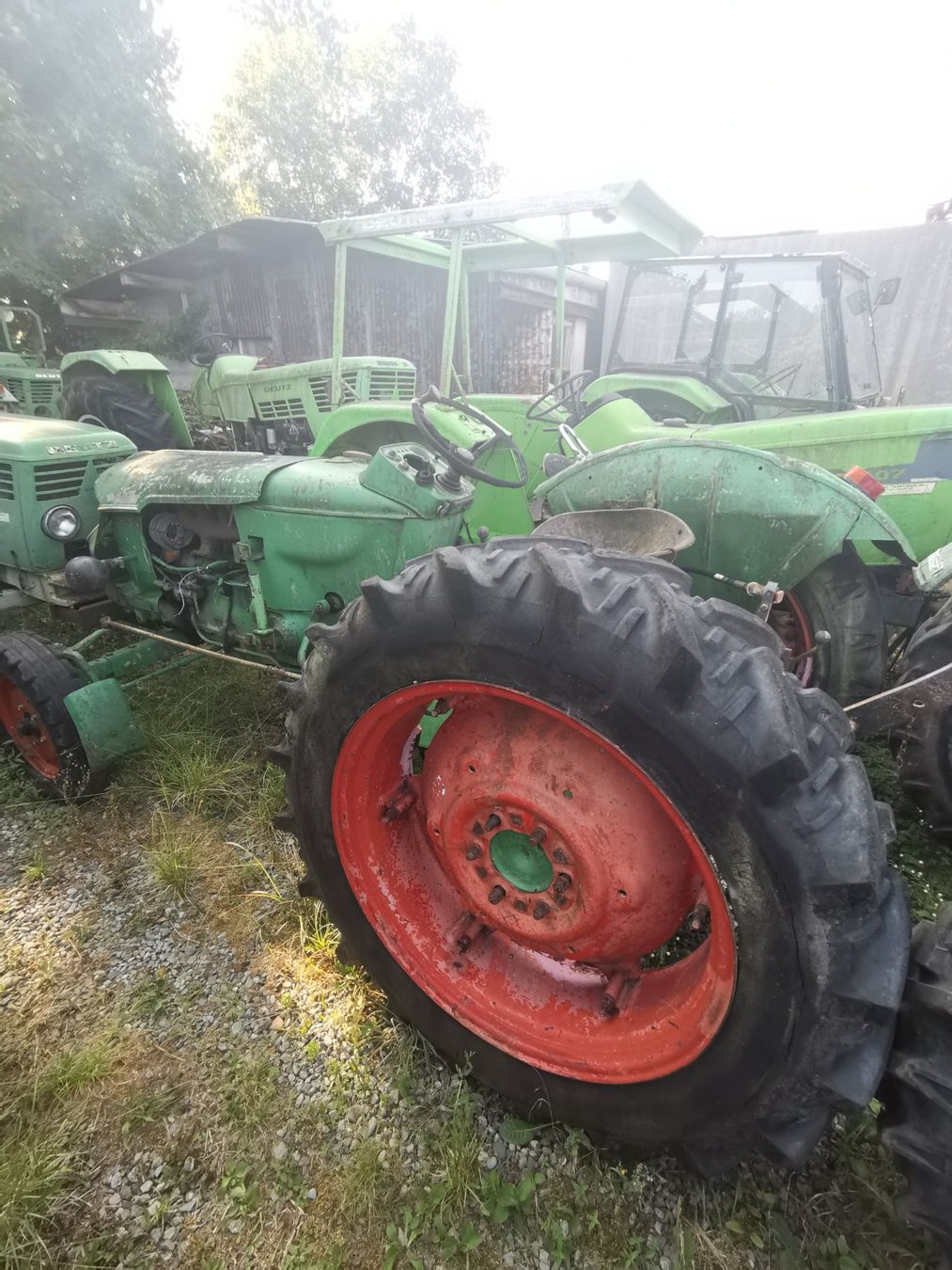 Deutz Trattori: Deutz 5005 – Difettoso da Buttwil venduto da obelix-idefix 1