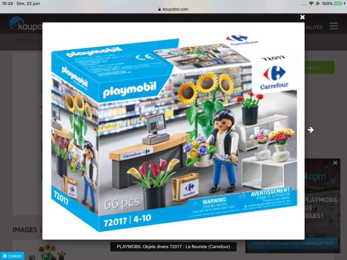 Playmobil Giocattoli: Playmobil carrefour fleuriste – Nuovo e nell'imballaggio originale da Prangins venduto da cel_l9mn