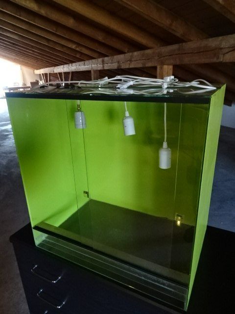 Terrario: Glasterrarium – Usato da Hirschthal venduto da Olimichsama 1