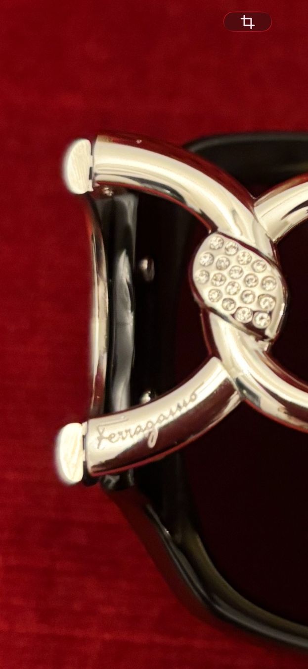 Salvatore Ferragamo Occhiali & Lenti: Ferragamo Sonnenbrille ungetragen – Nuovo (secondo la descrizione) da Jonschwil venduto da Dr.MeganHunt 2