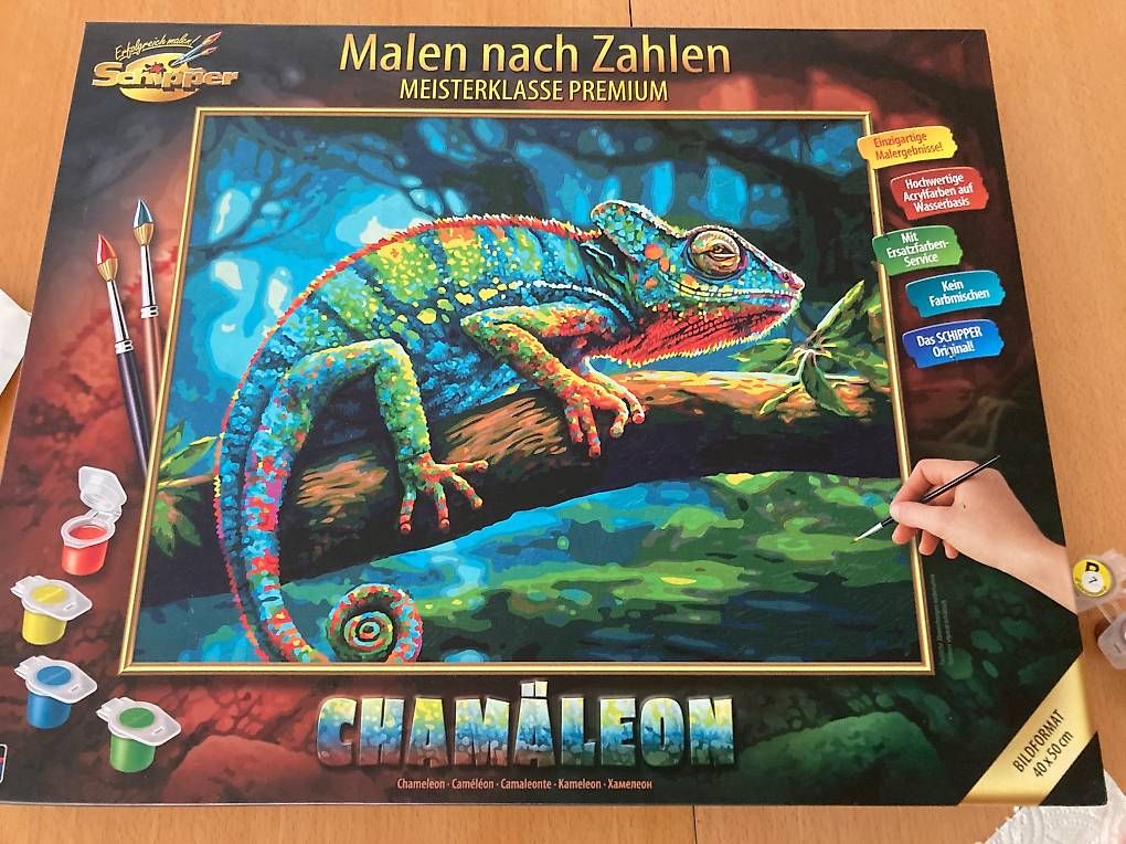 Dipinti: Bild/ Gemälde "Chamäleon", Malen nach Zahlen – Nuovo (secondo la descrizione) da Gelterkinden venduto da froggy80 2