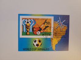 Block world cup winners Argentina'78