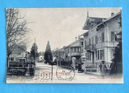 Langenthal - Wiesenstrasse - 1907
