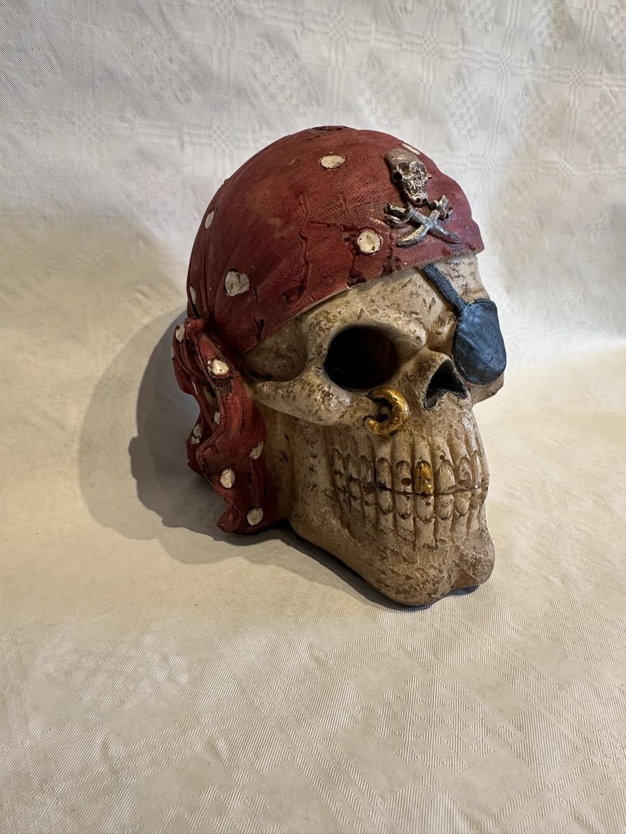 Salvadanai: Skull/Schädel Sparkasse/Spardose – Usato da Basel venduto da clearpixel 1