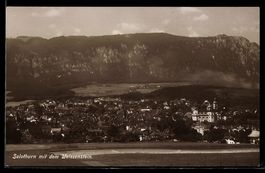 Solothurn, Teilansicht mit Schloss und W