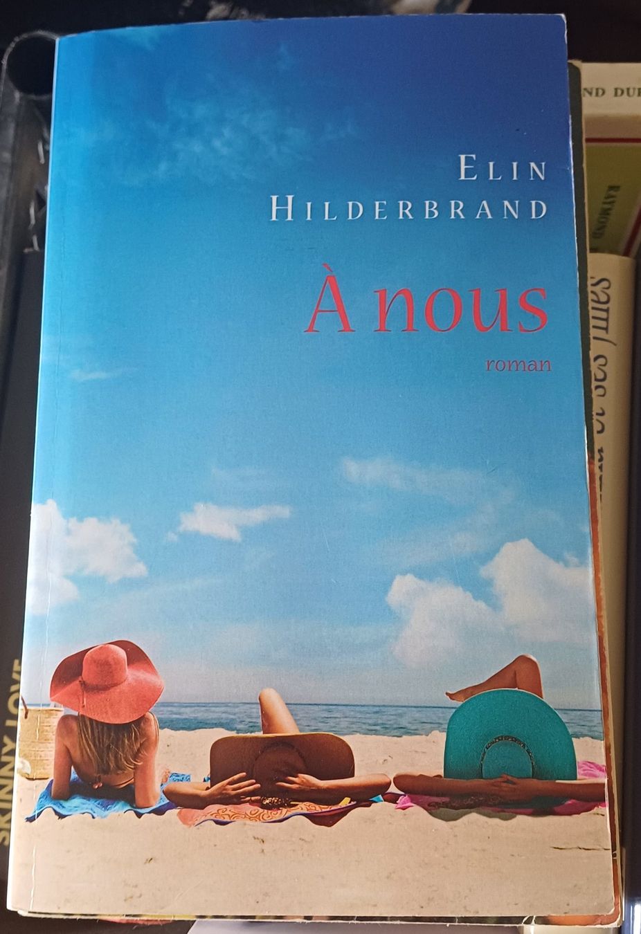 Libri: A nous, Elin Hilderbrand – Usato da Genève venduto da cle_vk5j