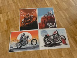 Evel Harley Bilder
