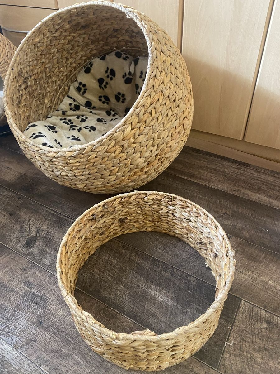 Cucce & Letti: Rattan Hunde/Katzenkorb Bett – Usato da Seewen SZ venduto da shaky01 5