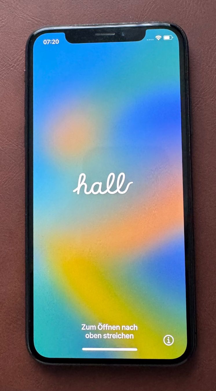 Apple Telefoni cellulari / Smartphones: Iphone X – Usato da Horgen venduto da Mondnacht_blau