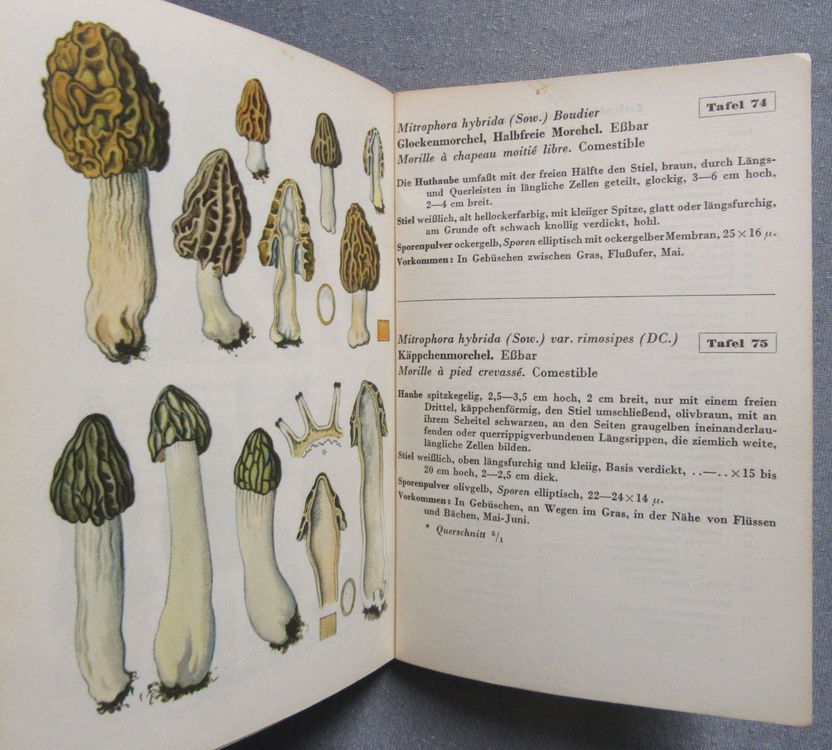 Schweizer Pilztafeln Band II 75 farbige Pilzarten (Defekt) in