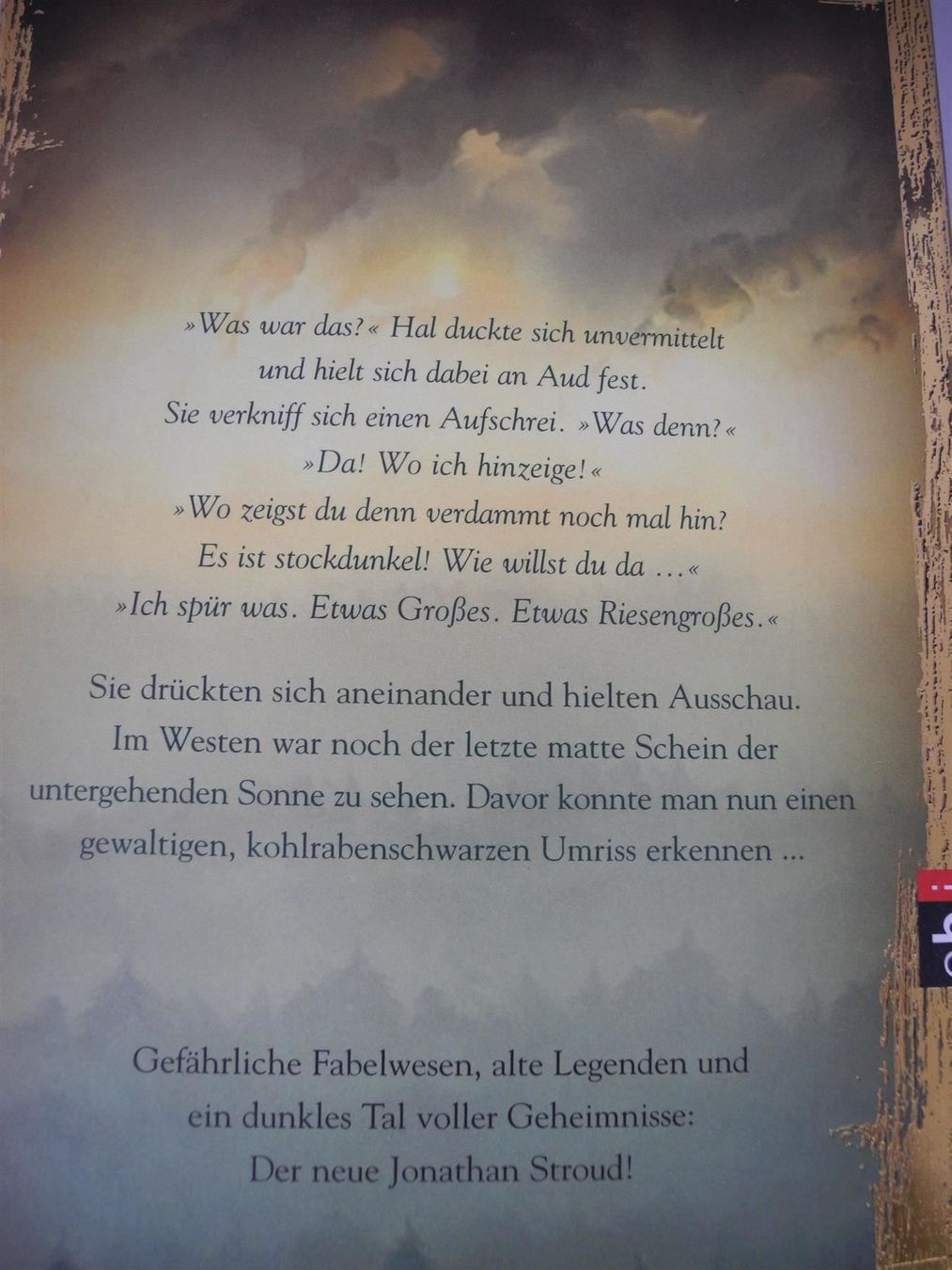 Libri: Jonathan Stroud,Valley Nr. d50 – Nuovo (secondo la descrizione) da Kottwil venduto da Crazyrolf 1