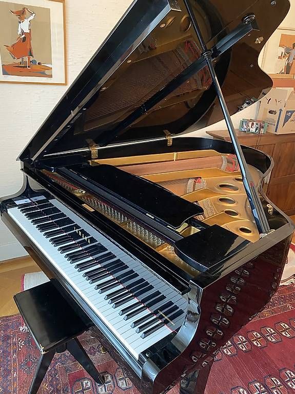 Instruments de musique: Piano à queue Yamaha – D'occasion à Morges par jul_698l 1