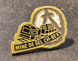 H344 - Pin Eisenbahn Mine de Sel CH, BEX