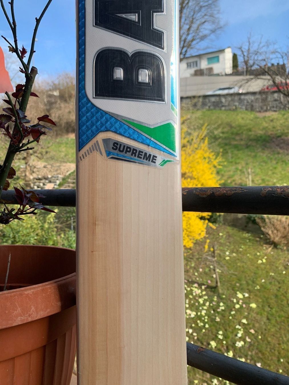 Articoli in legno: Cricket Bat BAS Vampire Supreme SH – Nuovo e nell'imballaggio originale da Luzern venduto da ronymamuni 4