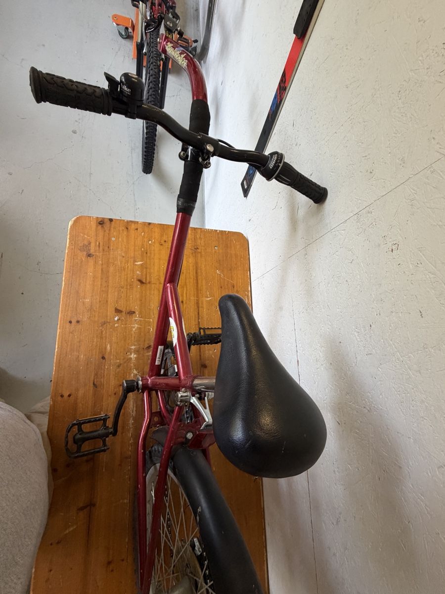 Biciclette: Fun-Trailer Schattenvelo – Usato da Gurmels venduto da SwissShop21 3