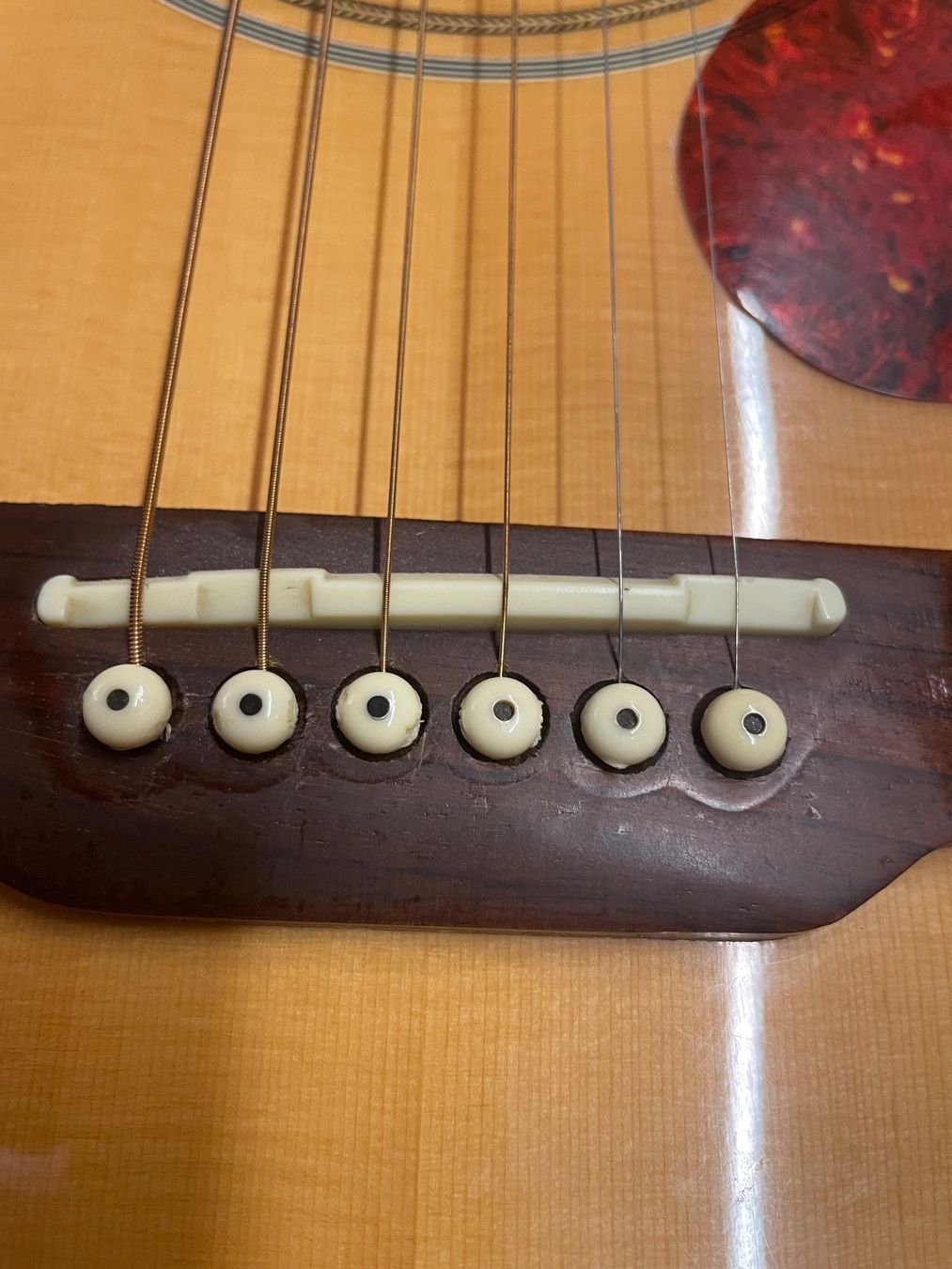 Epiphone Strumenti musicali: Acoustic Gitarre Epiphone Gibson PR800S – Usato da Künten venduto da wowich 3