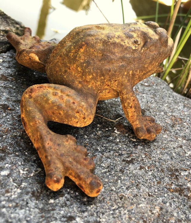 Sehr alter MetallFrosch Kröte oder? für den Gartenteich Kaufen