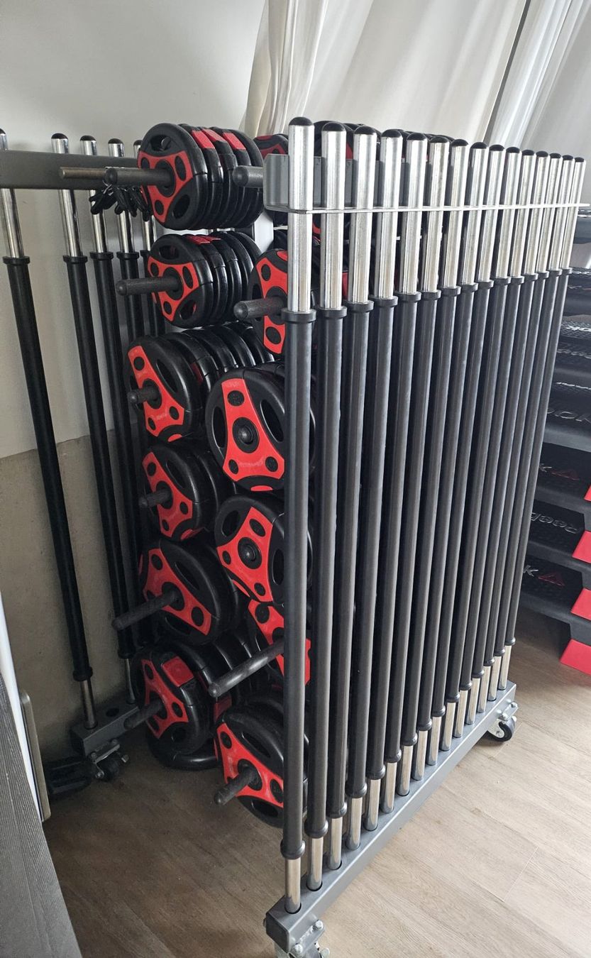 Manubri & Pesi: Bodypump Profiset von Don Oliver inkl. Rack – Usato da Zürich venduto da caricaro01