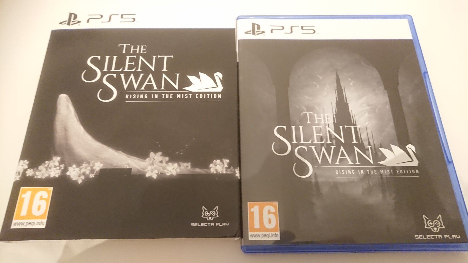 Spiele: The Silent Swan  PS5 Spiel – Gebraucht aus Au SG von Mar_69jz