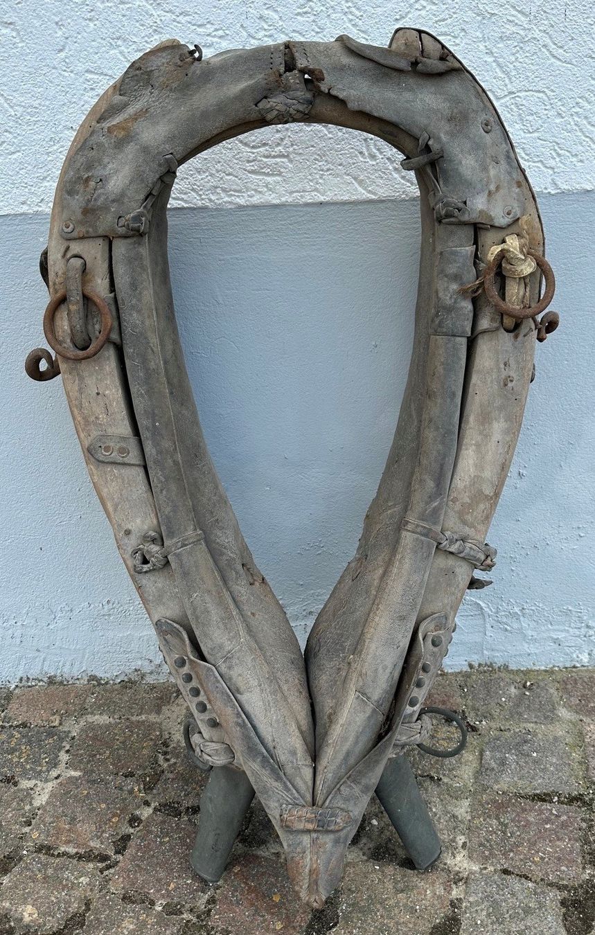 Briglie & Cavezze: Antik Pferde Kummet Halfter Holz Leder – Usato da Leibstadt venduto da hjk_2025