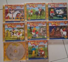 Bibi und Tina Hoerspiel 8 CDs gebraucht Zustand