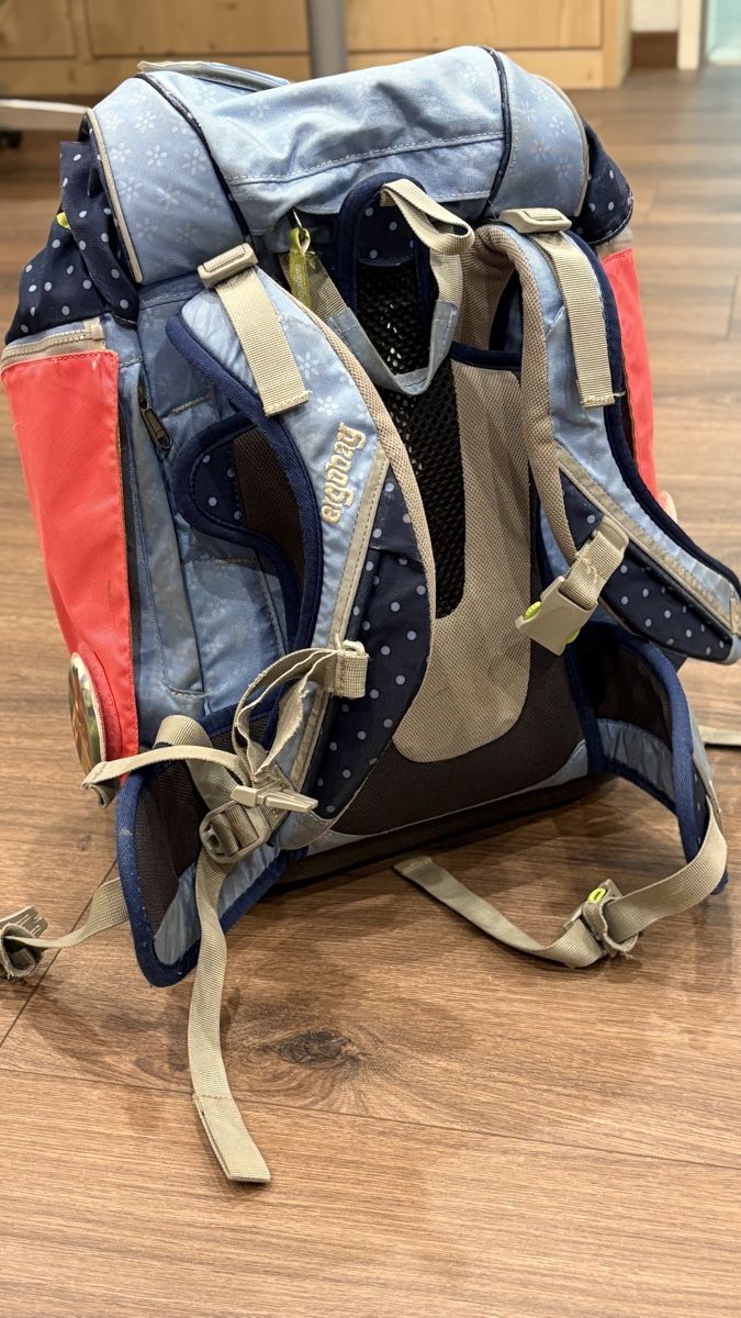 Ergobag Borse & Zaini: Ergobag Schulthek – Usato da Freienstein venduto da nwinter78 1