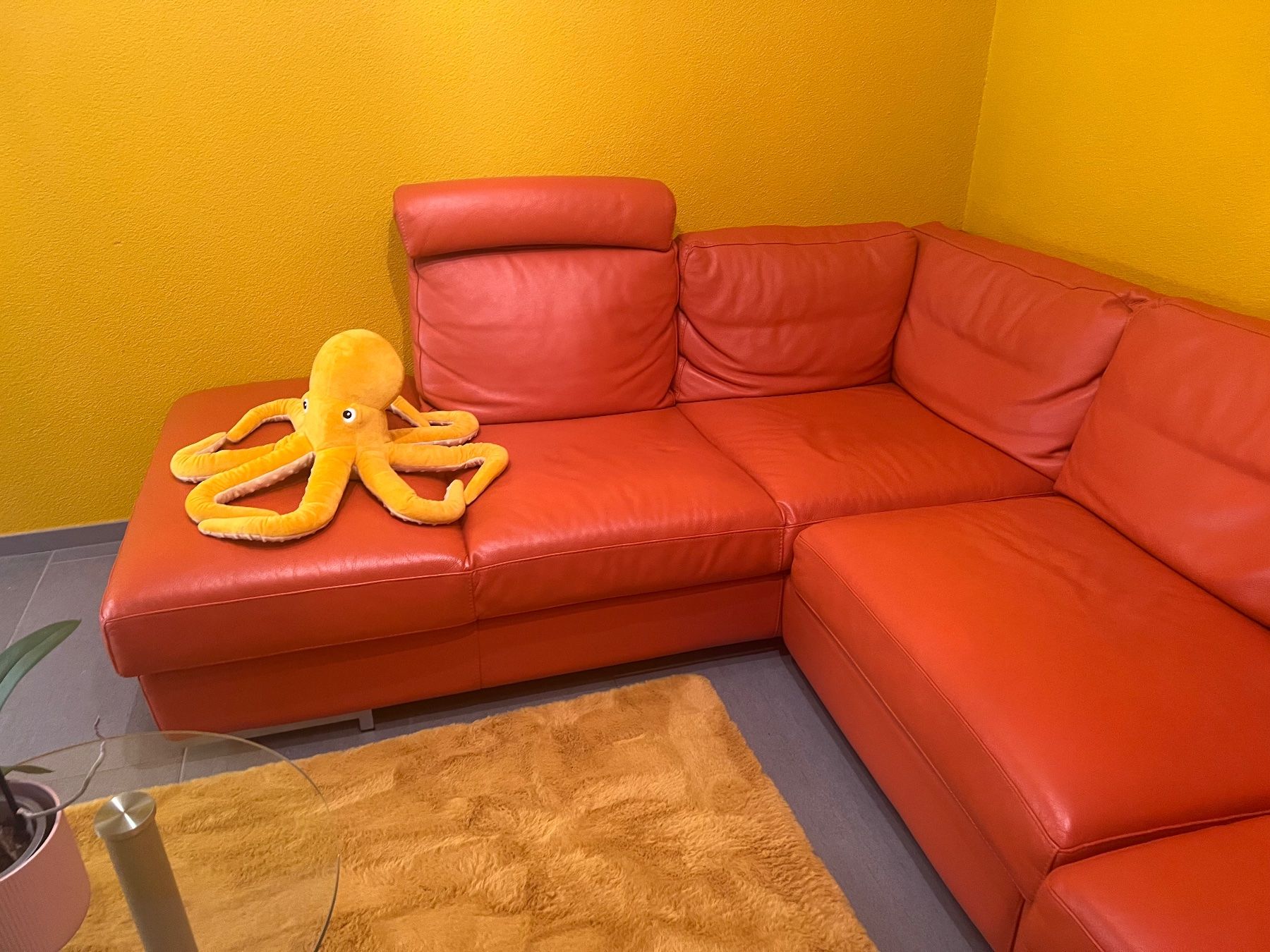 Divani: Oranges Rinds Ledersofa – Usato da Oberbipp venduto da ang_655y 1