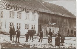 Landwirtschaft/Pferd/Stier 1910 ZH, TG oder AG?