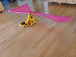 Motor Gleiter  Robbe