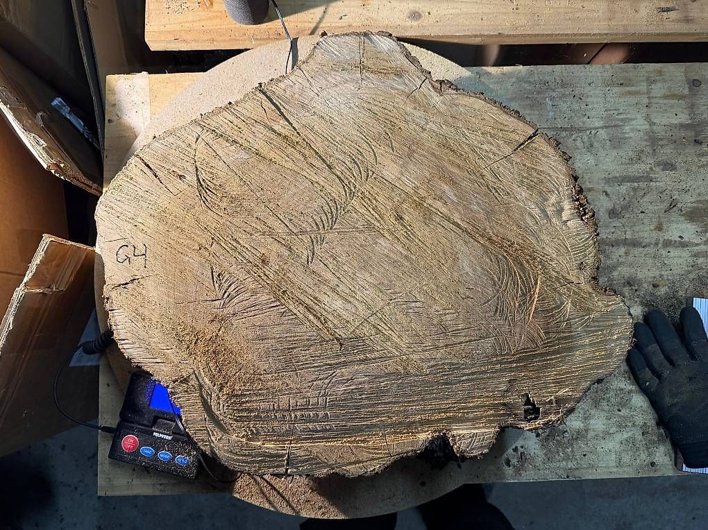 Articoli in legno: Olivenholz Baumscheibe G4 – Usato da Buus venduto da macipioji