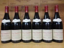 6 Fl. Gevrey - Chambertin 2009, Moillard- Grivot (Lot 16)