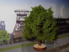 N: Baum Eiche detailliert