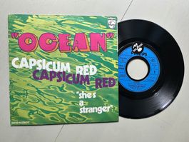 CAPSICUM RED tolle Ocean Kult Single Top Progressiv France