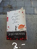 Buch: Ein ganzes halbes Jahr