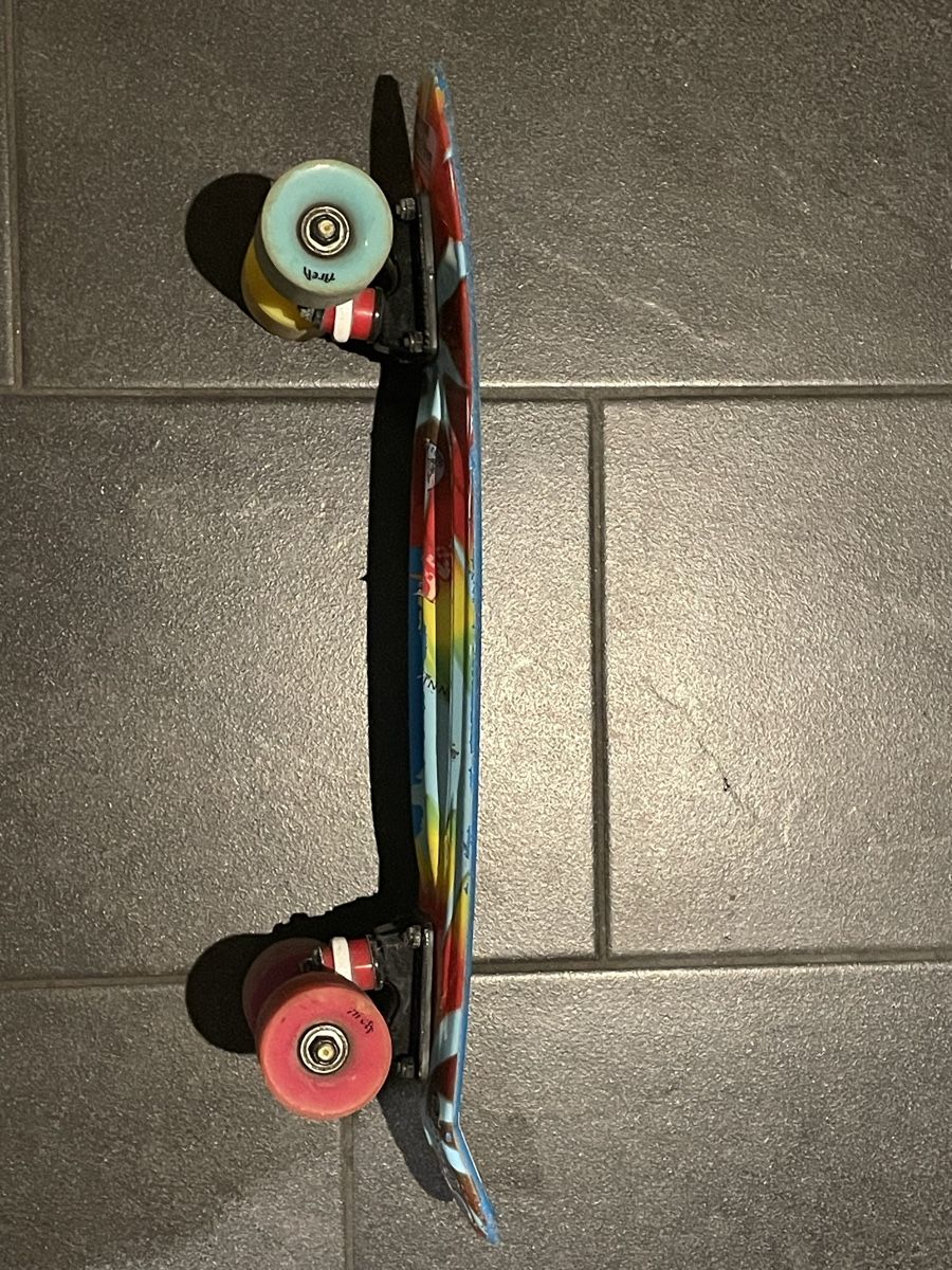 Skateboards: Area Pennyboard – Usato da Birmenstorf AG venduto da Arian2007 2