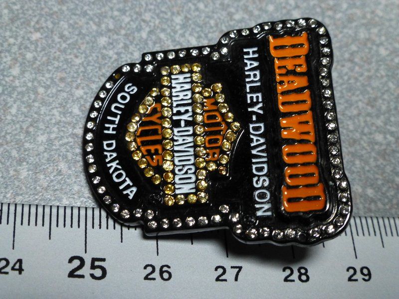 Placchette & Badge: PIN PINS HARLEY DAVIDSON HOG ABZEICHEN CHAPTER V-TWIN – Usato da Gränichen venduto da Jumbo77 5